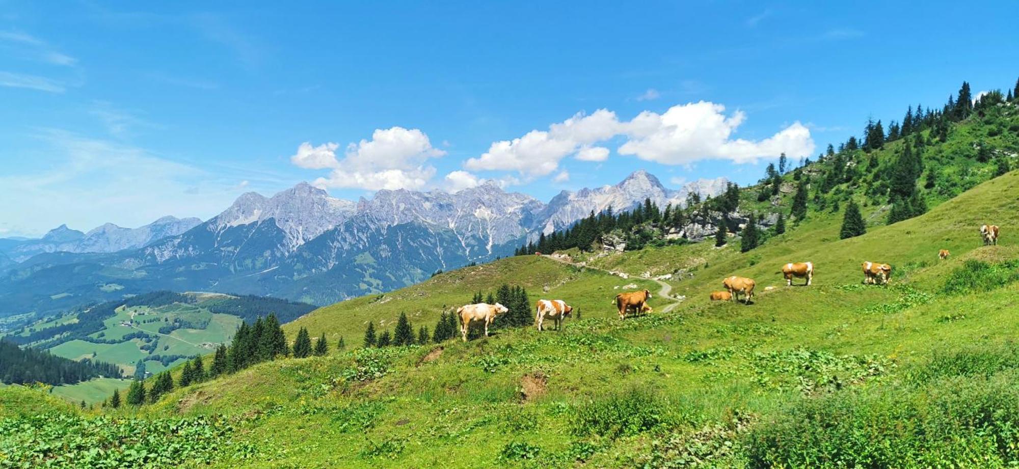 Maria Alm - Komfortables Apartment Gipfelglueck Saalfelden Екстериор снимка